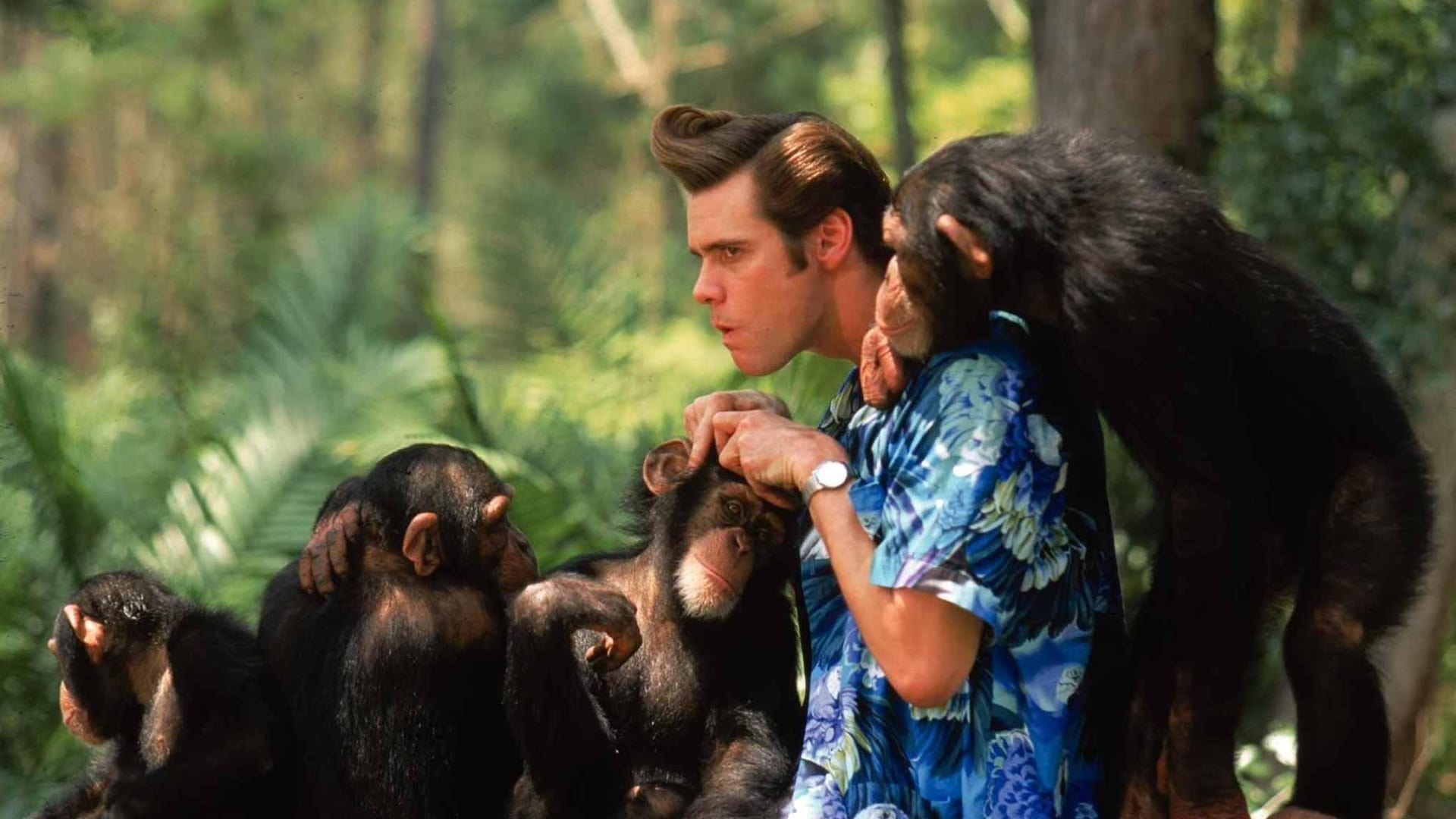 Xem phim Ace Ventura: When Nature Calls Vietsub HD
