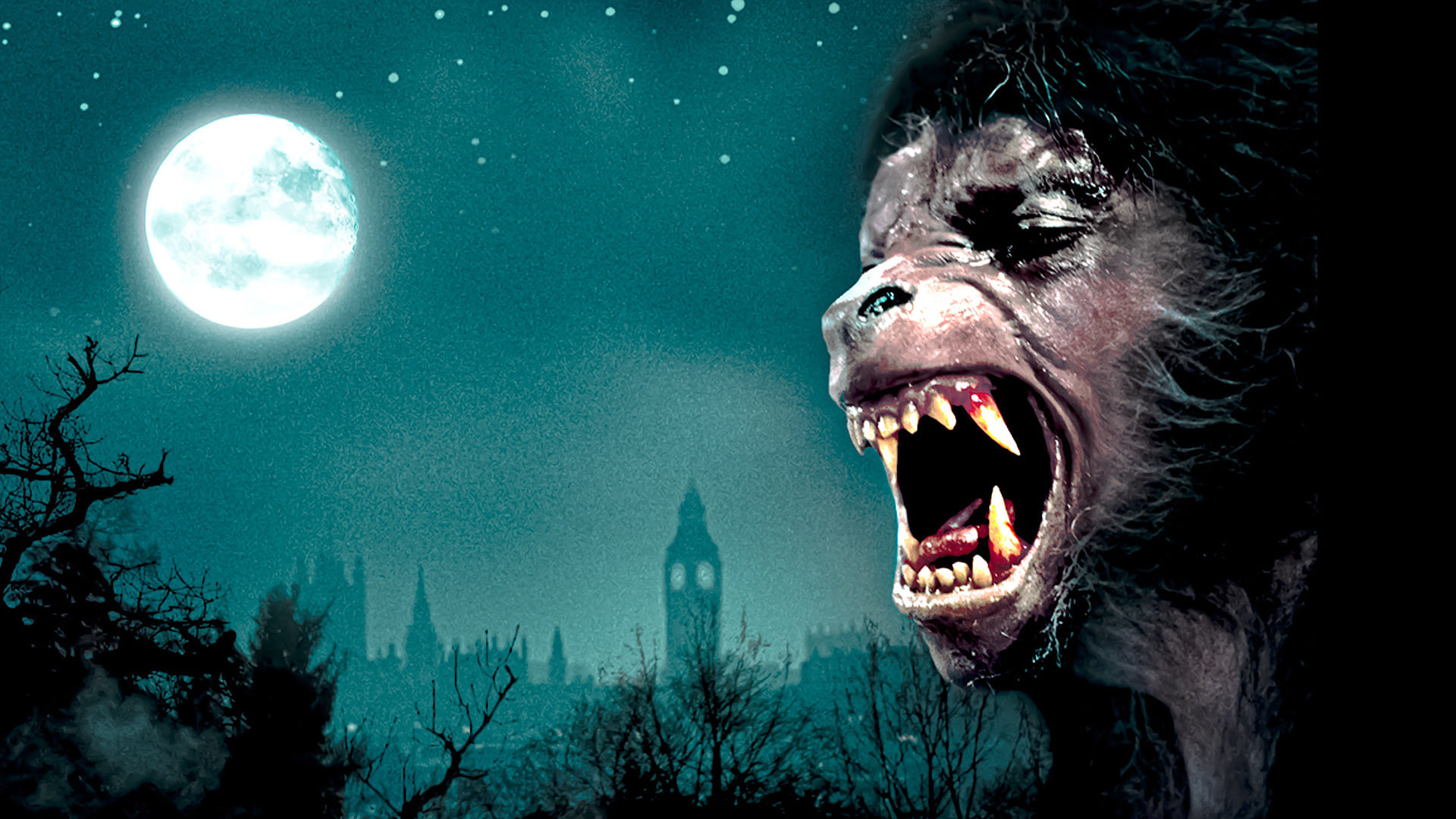 Xem phim An American Werewolf in London Vietsub HD