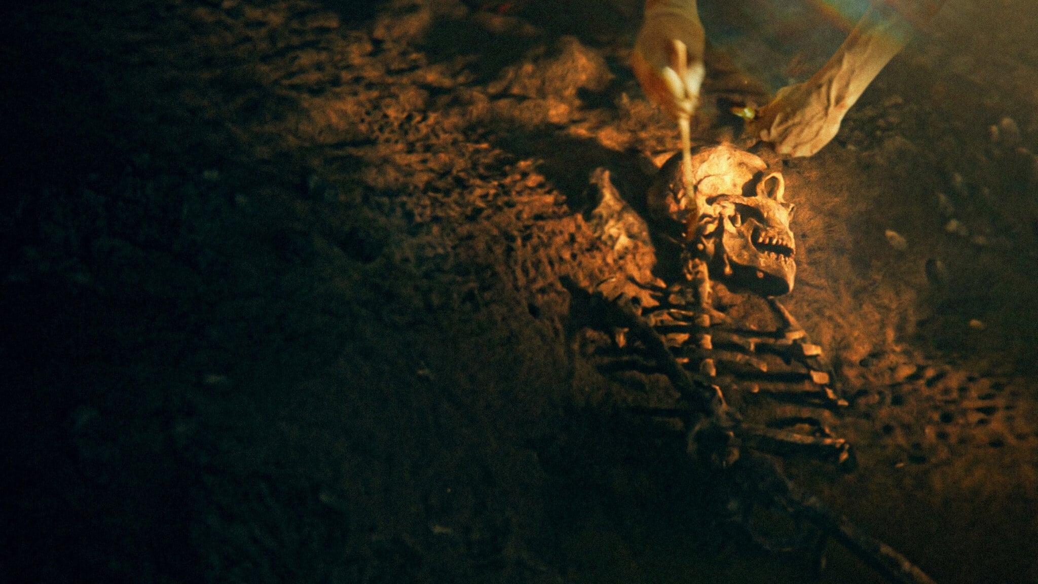 Xem phim Bí mật của người Neanderthal Vietsub HD