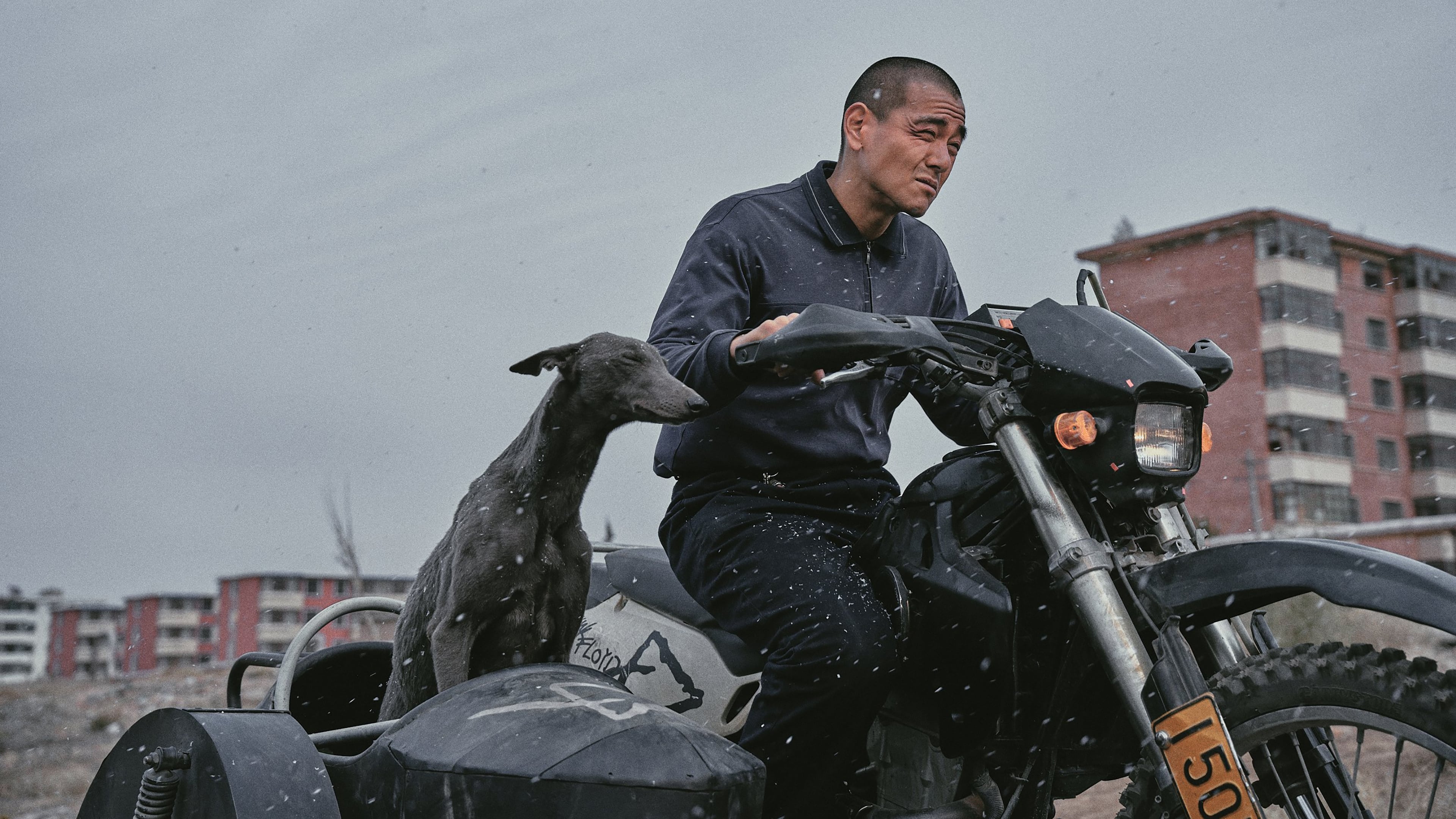Xem phim Cẩu Trận Vietsub HD