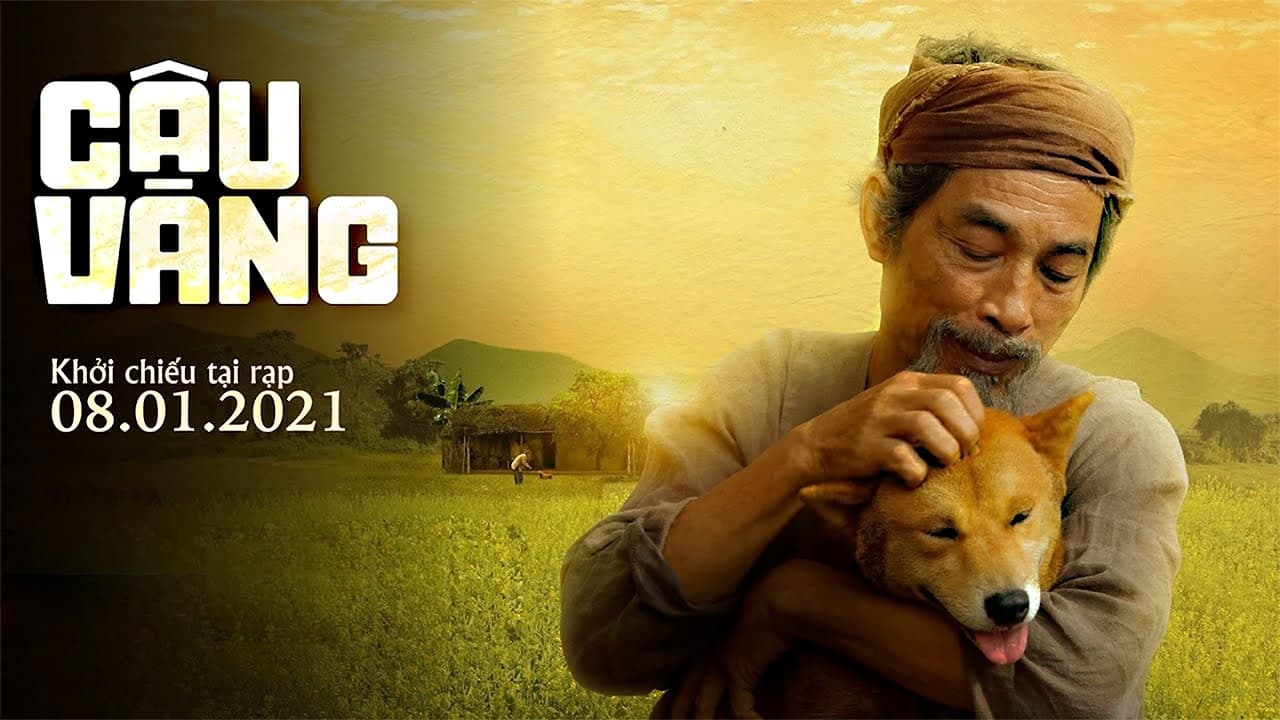 Xem phim Cậu Vàng Vietsub HD
