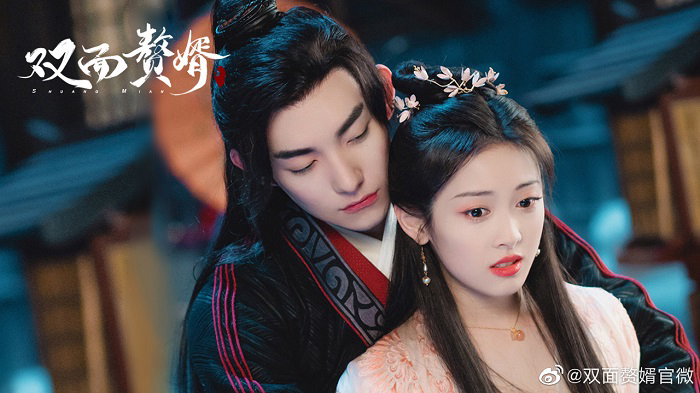 Xem phim Chàng Rể Hai Mặt Vietsub HD