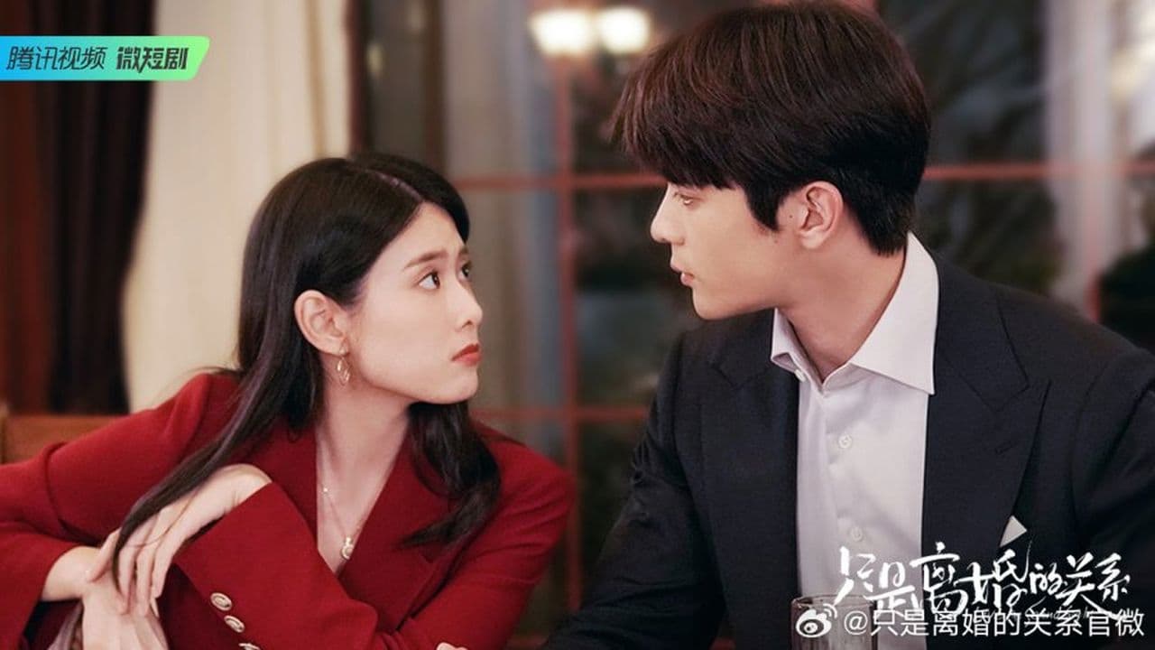 Xem phim Chỉ Là Quan Hệ Ly Hôn Vietsub HD