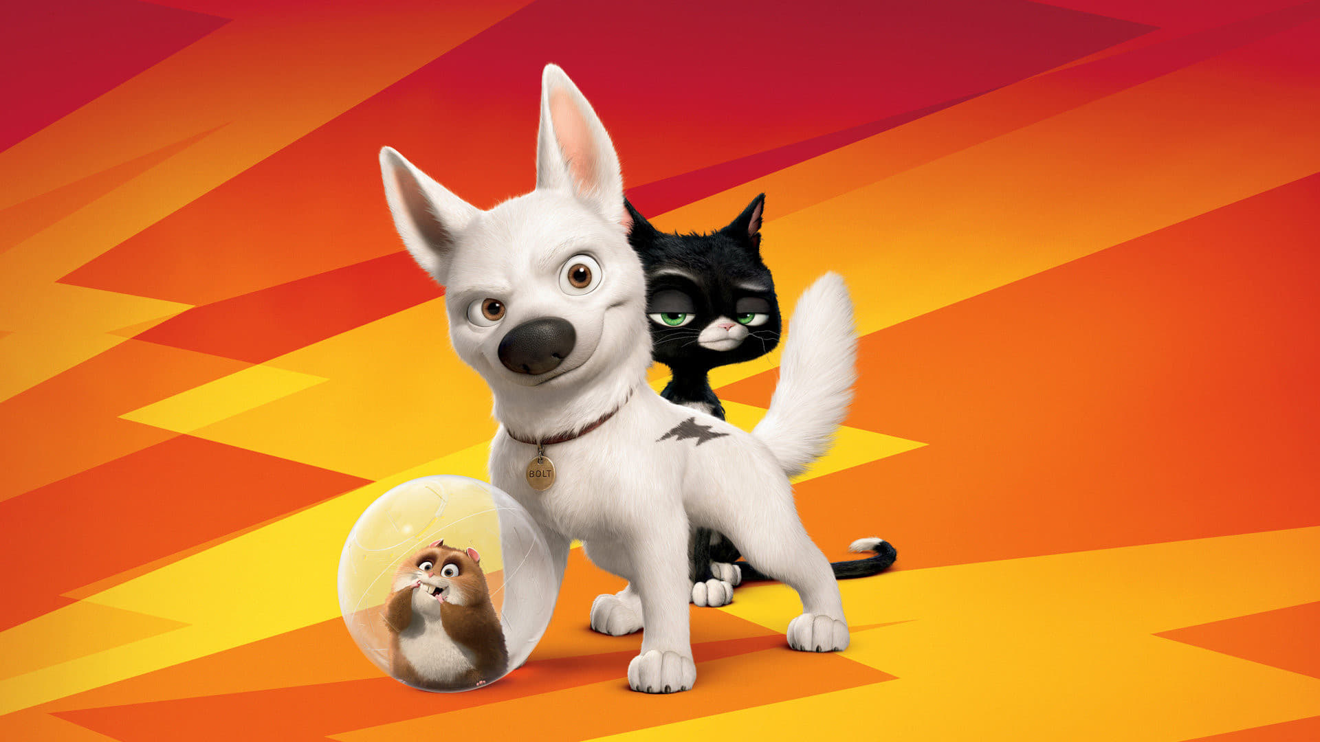 Xem phim Chú Chó Tia Chớp Vietsub HD