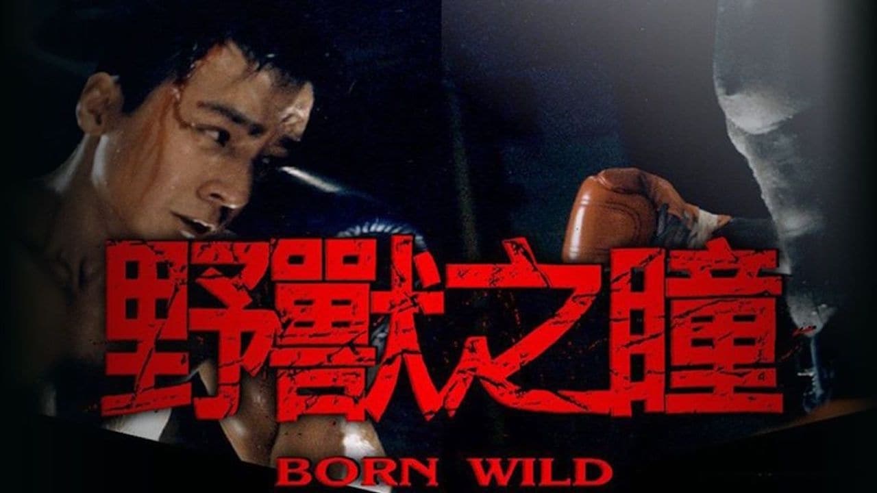 Xem phim Dã Chiến Giang Hồ Vietsub HD
