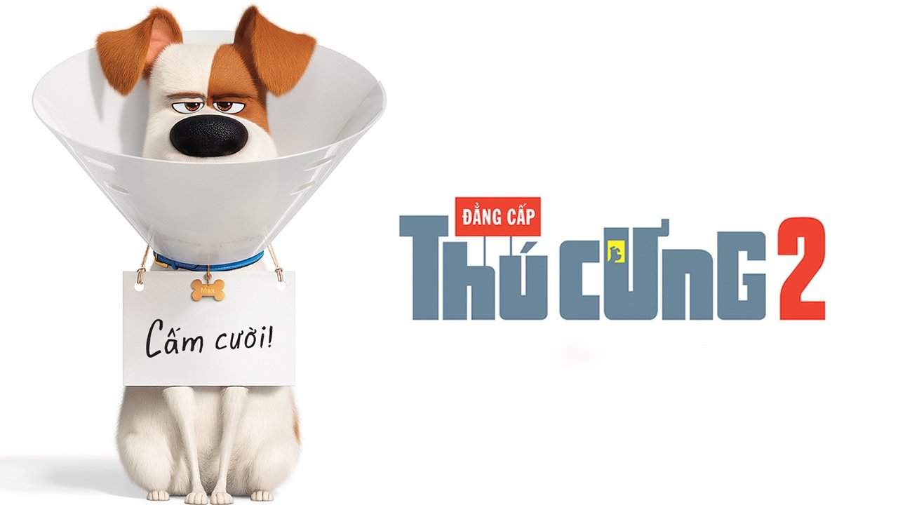 Xem phim Đẳng Cấp Thú Cưng 2 Vietsub HD