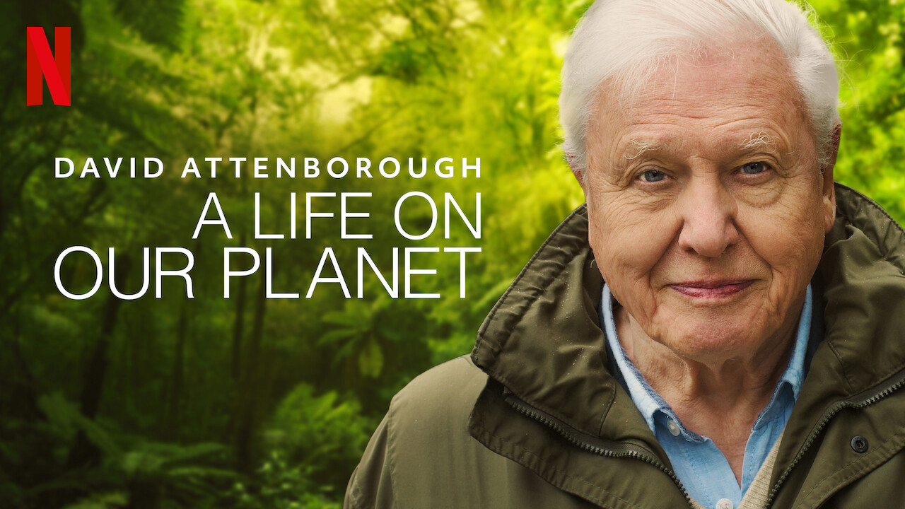 Xem phim David Attenborough: Một cuộc đời trên Trái Đất Vietsub HD