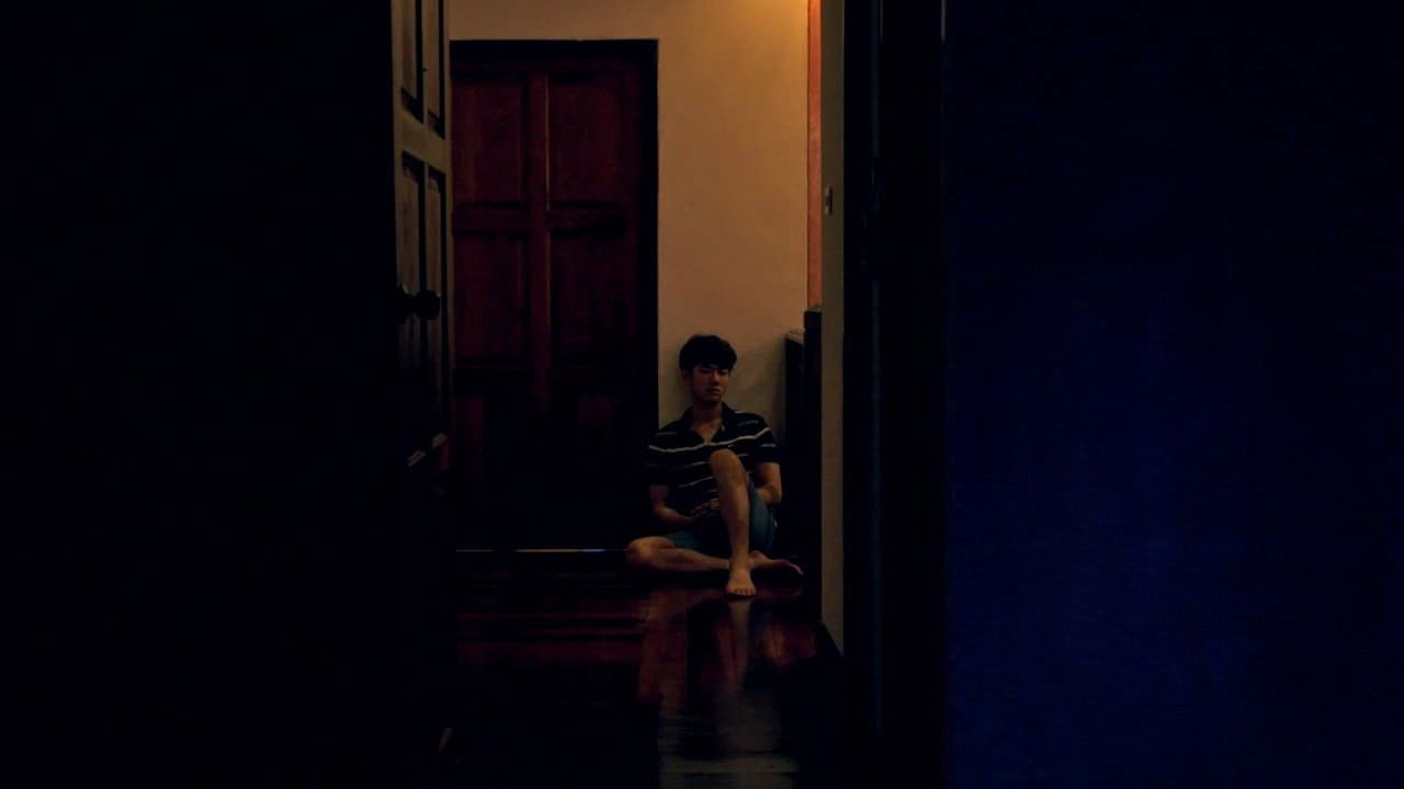 Xem phim Đêm nhiệt đới Vietsub HD