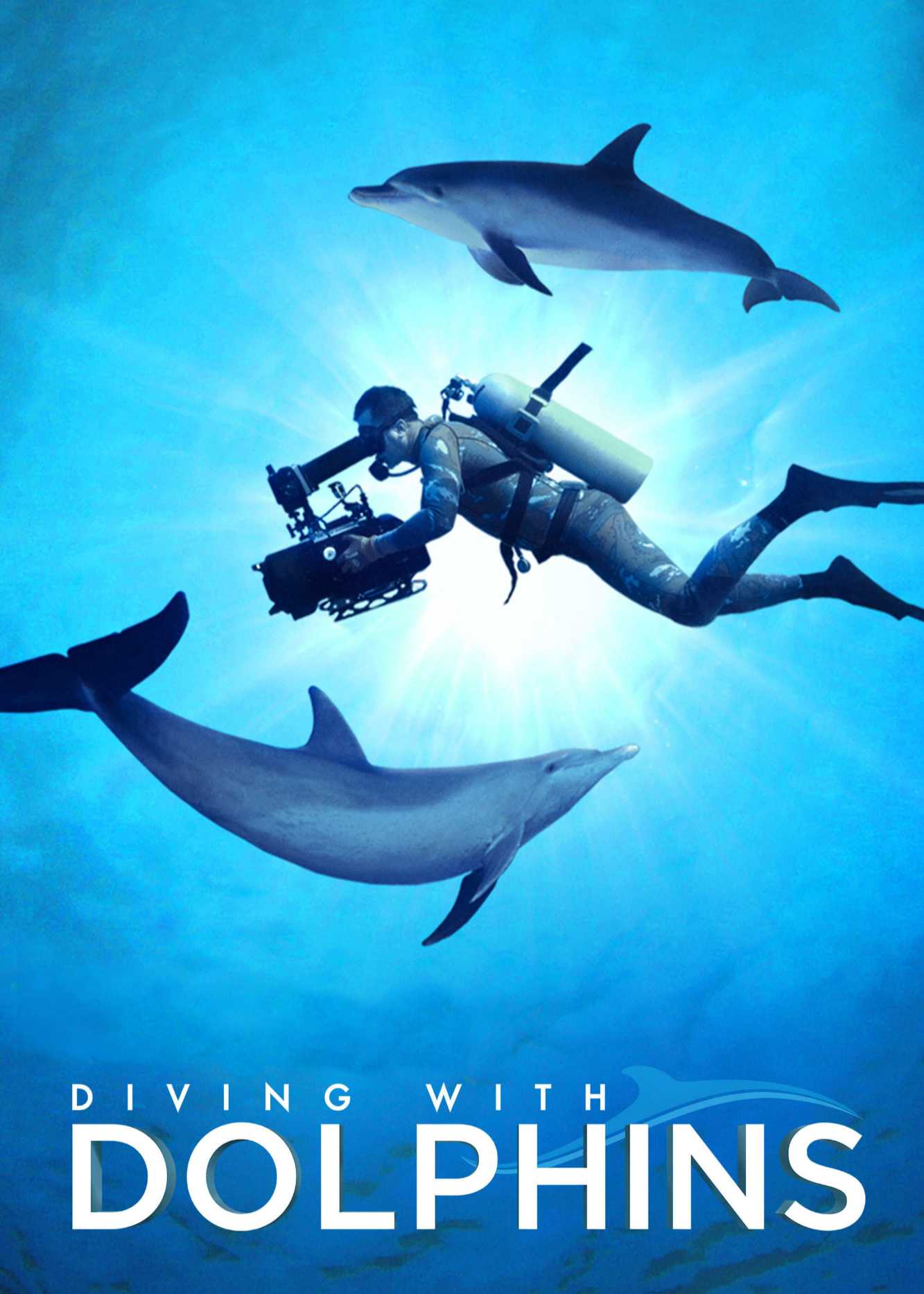 Xem phim Diving with Dolphins Vietsub HD
