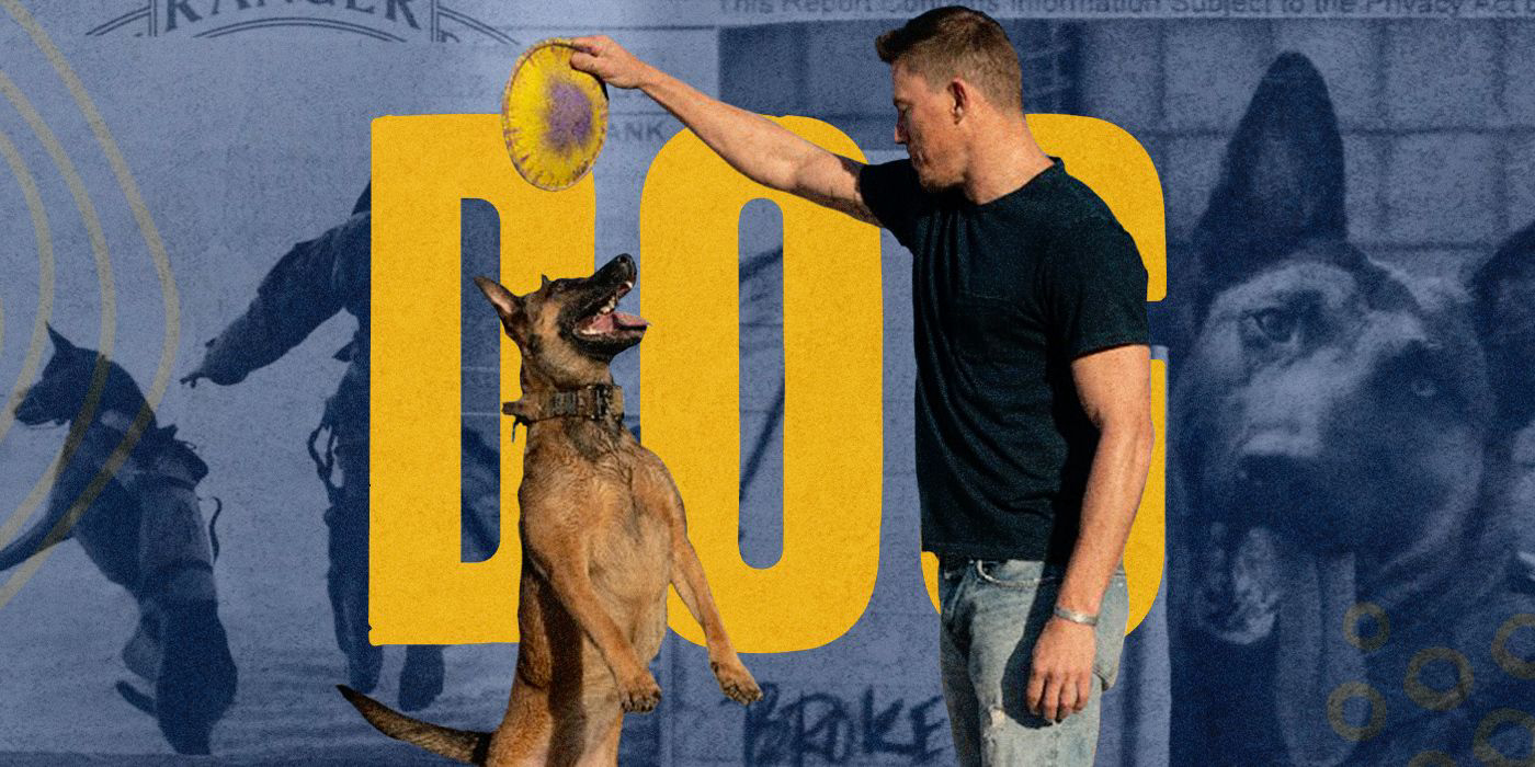 Xem phim Dog Vietsub HD