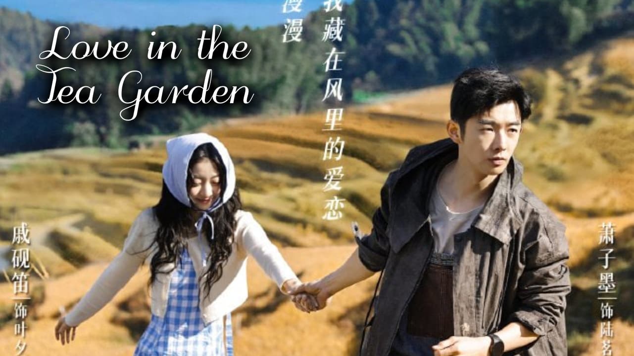Xem phim Đồi Trà Tình Yêu Vietsub HD