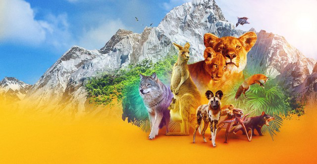 Xem phim Động vật (Phần 1) Vietsub HD