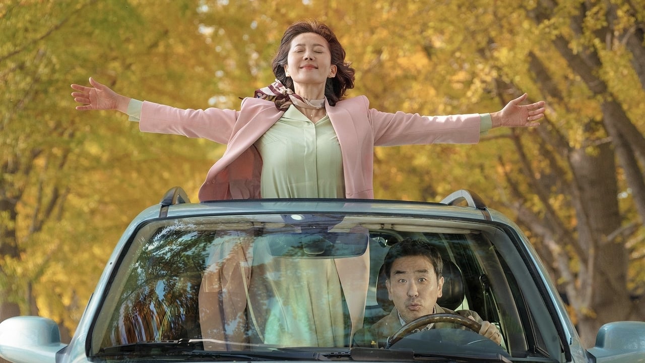 Xem phim Đưa Em Tìm Mối Tình Đầu Vietsub HD