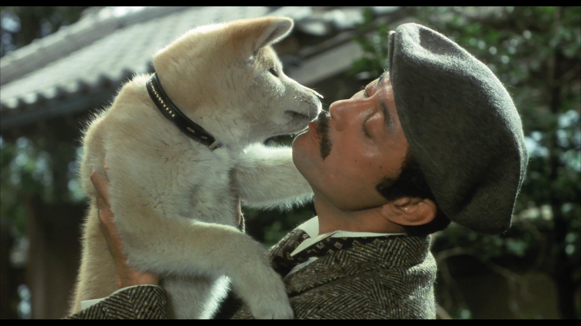 Xem phim HACHIKO Vietsub HD