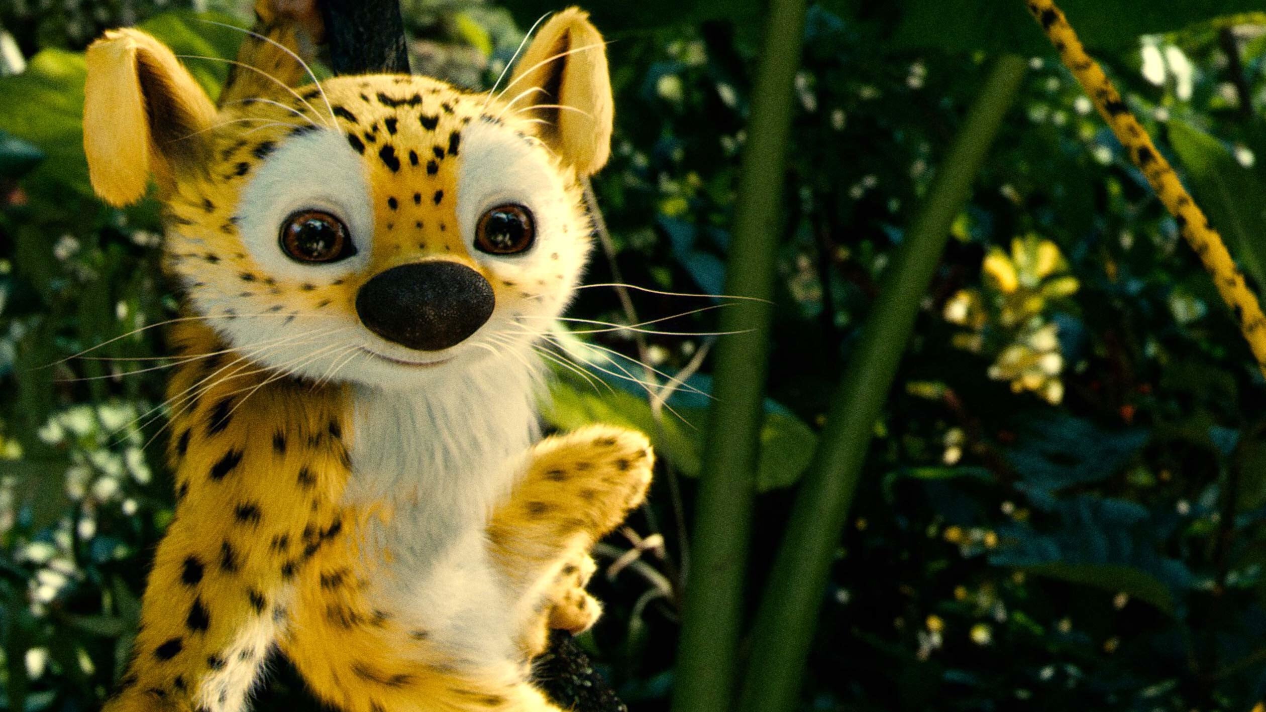 Xem phim HOUBA! On the Trail of the Marsupilami Vietsub HD