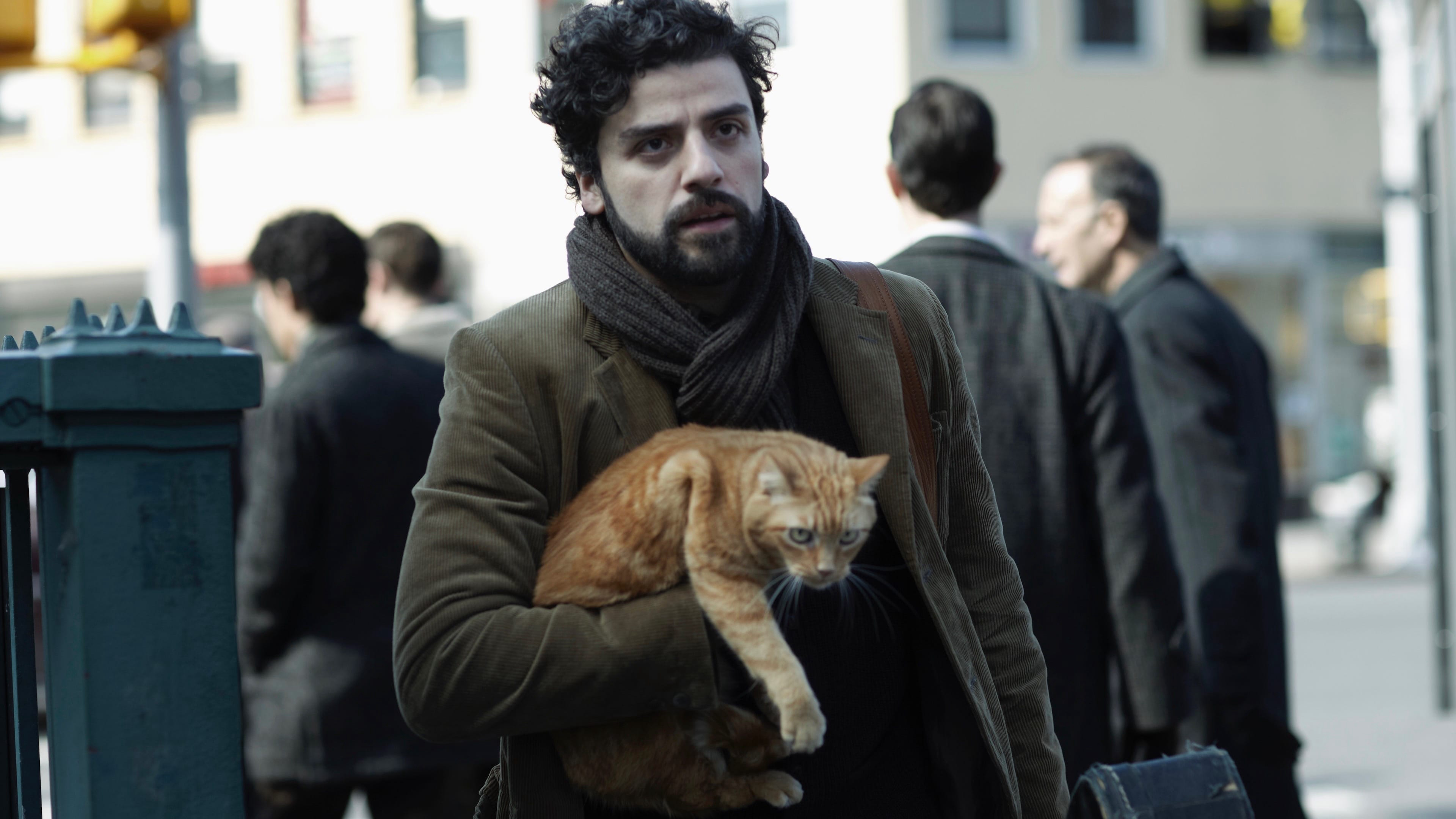 Xem phim Inside Llewyn Davis Vietsub HD