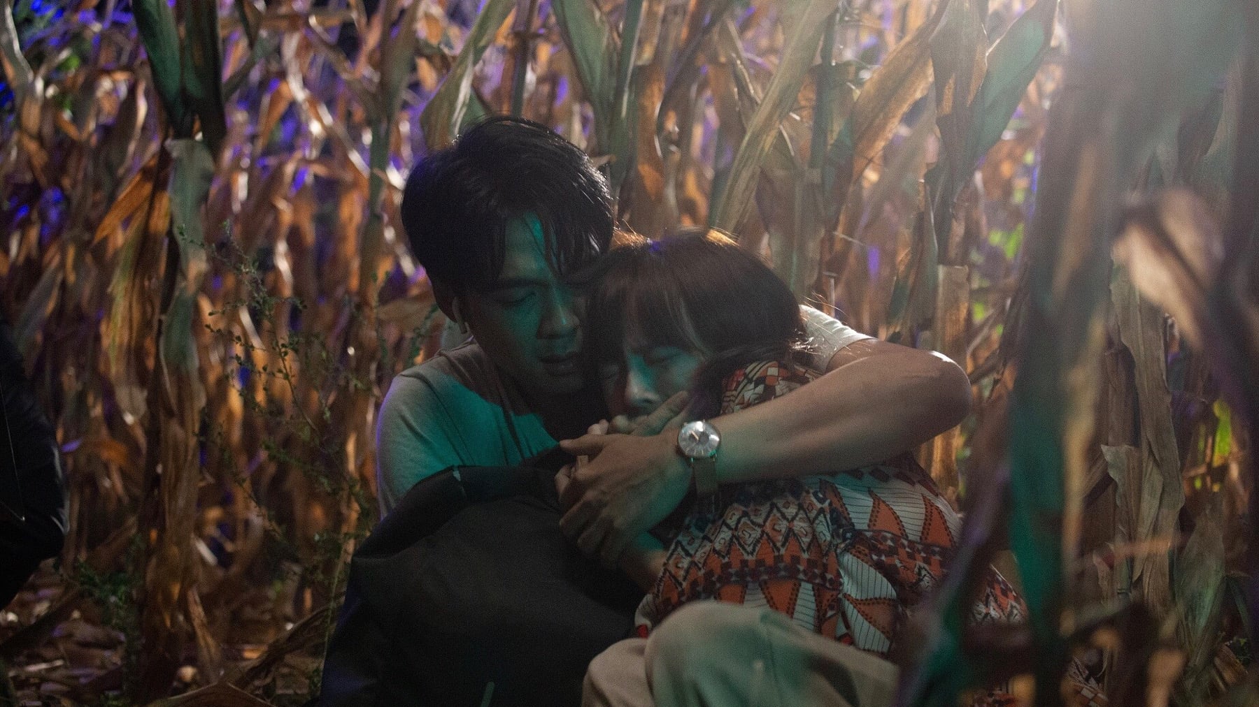 Xem phim Không Sợ Hãi Vietsub HD