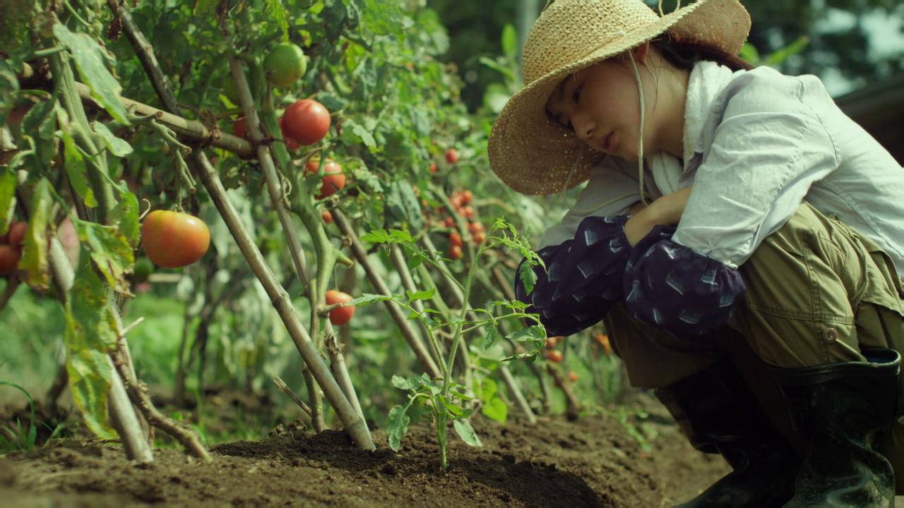 Xem phim Little Forest: Summer/Autumn Vietsub HD
