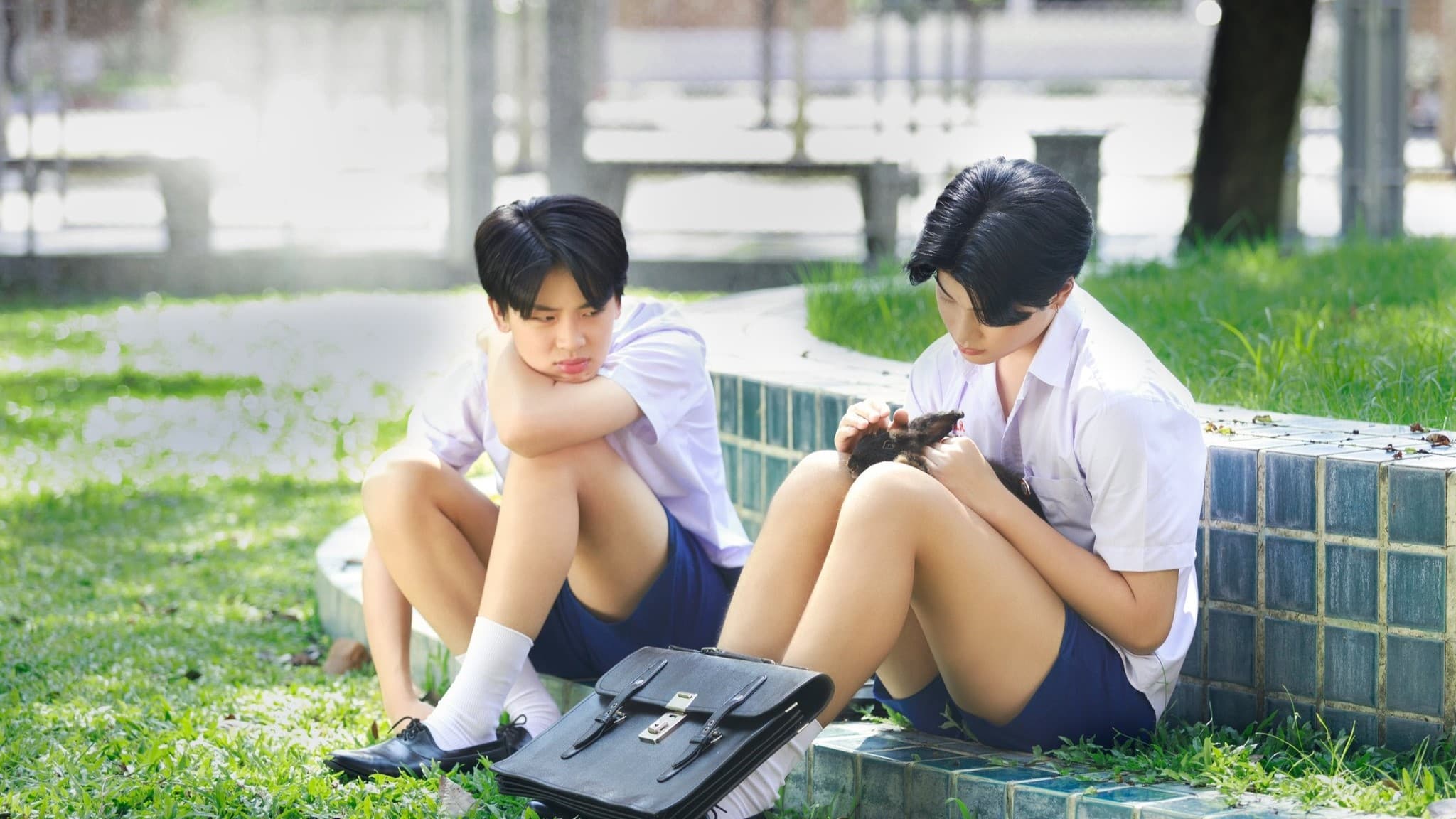 Xem phim Love Vietsub HD