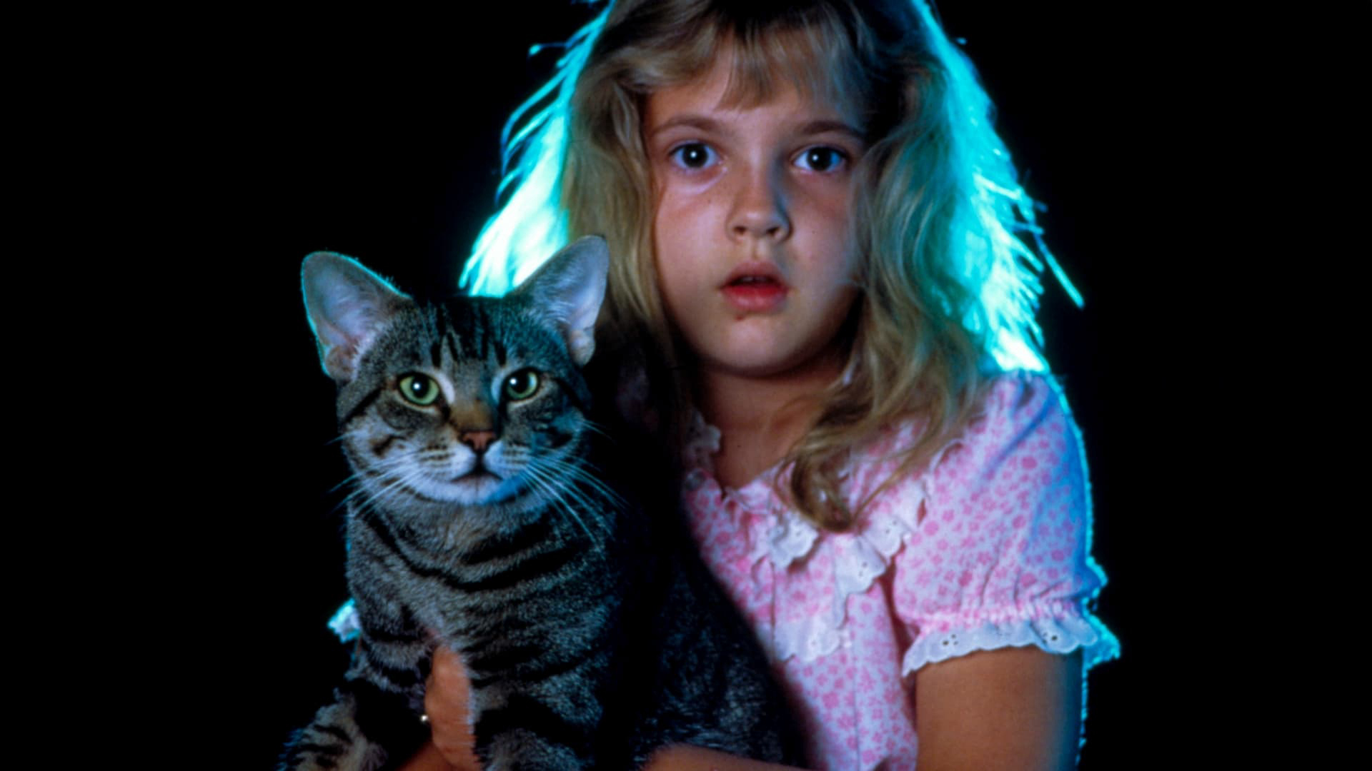 Xem phim Mắt mèo Vietsub HD