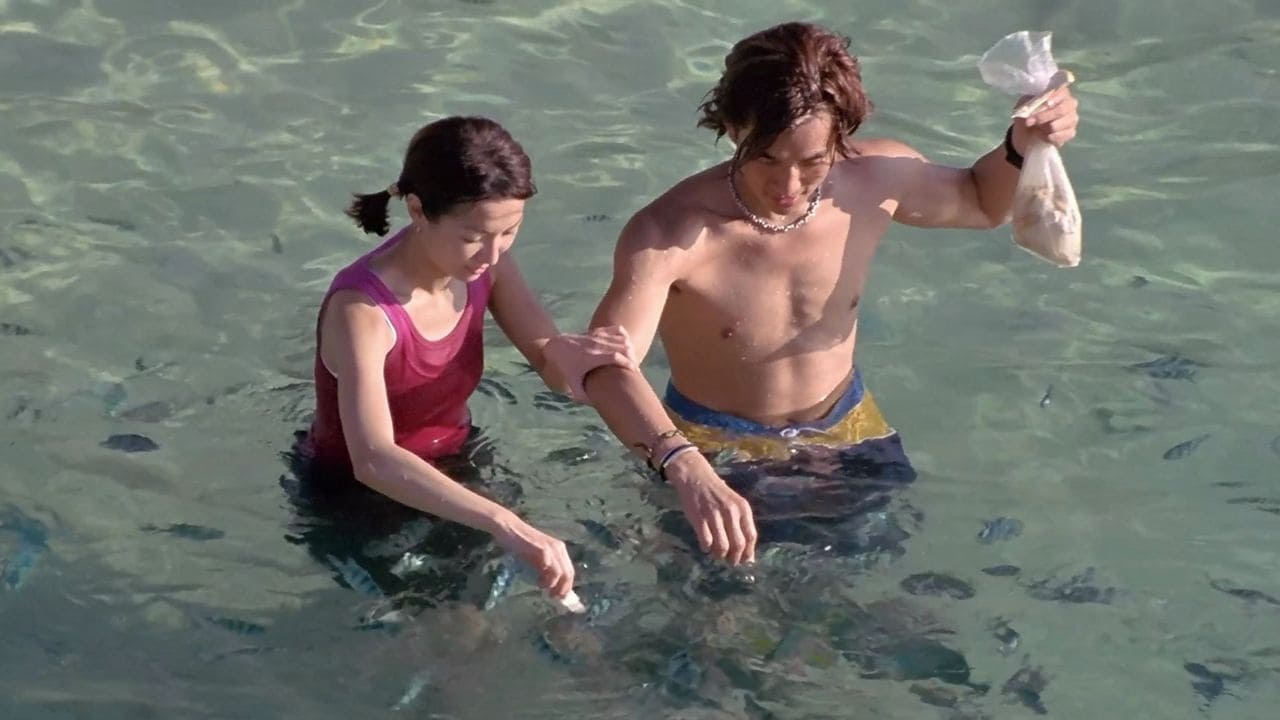 Xem phim Mối Tình Mùa Hè Vietsub HD