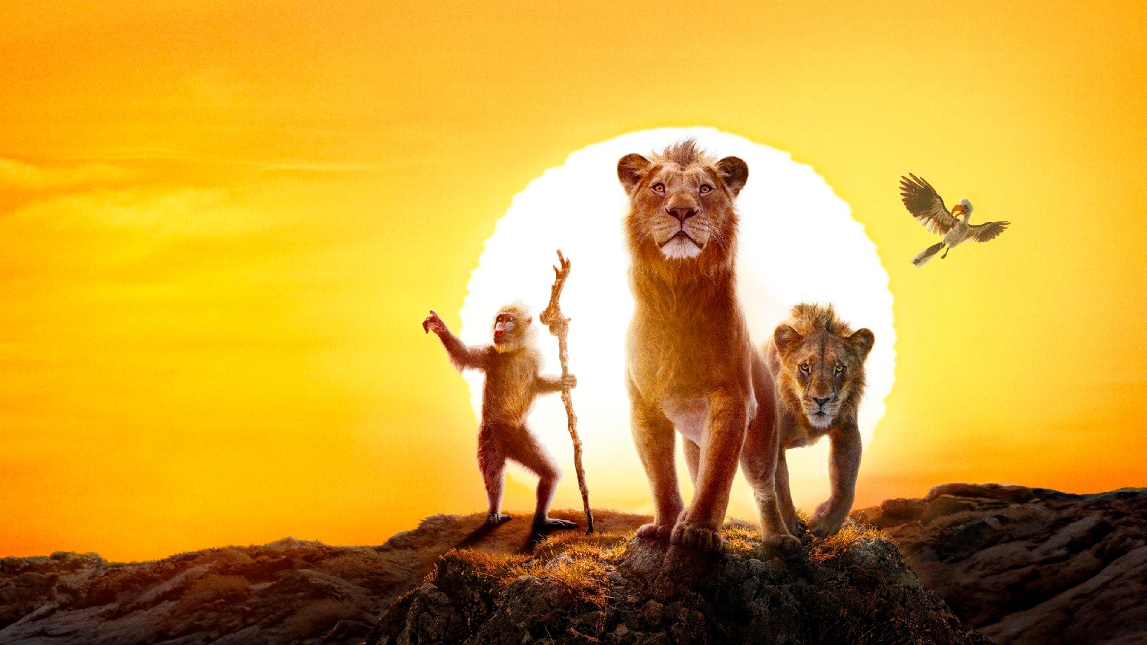 Xem phim Mufasa: Vua Sư Tử Vietsub HD