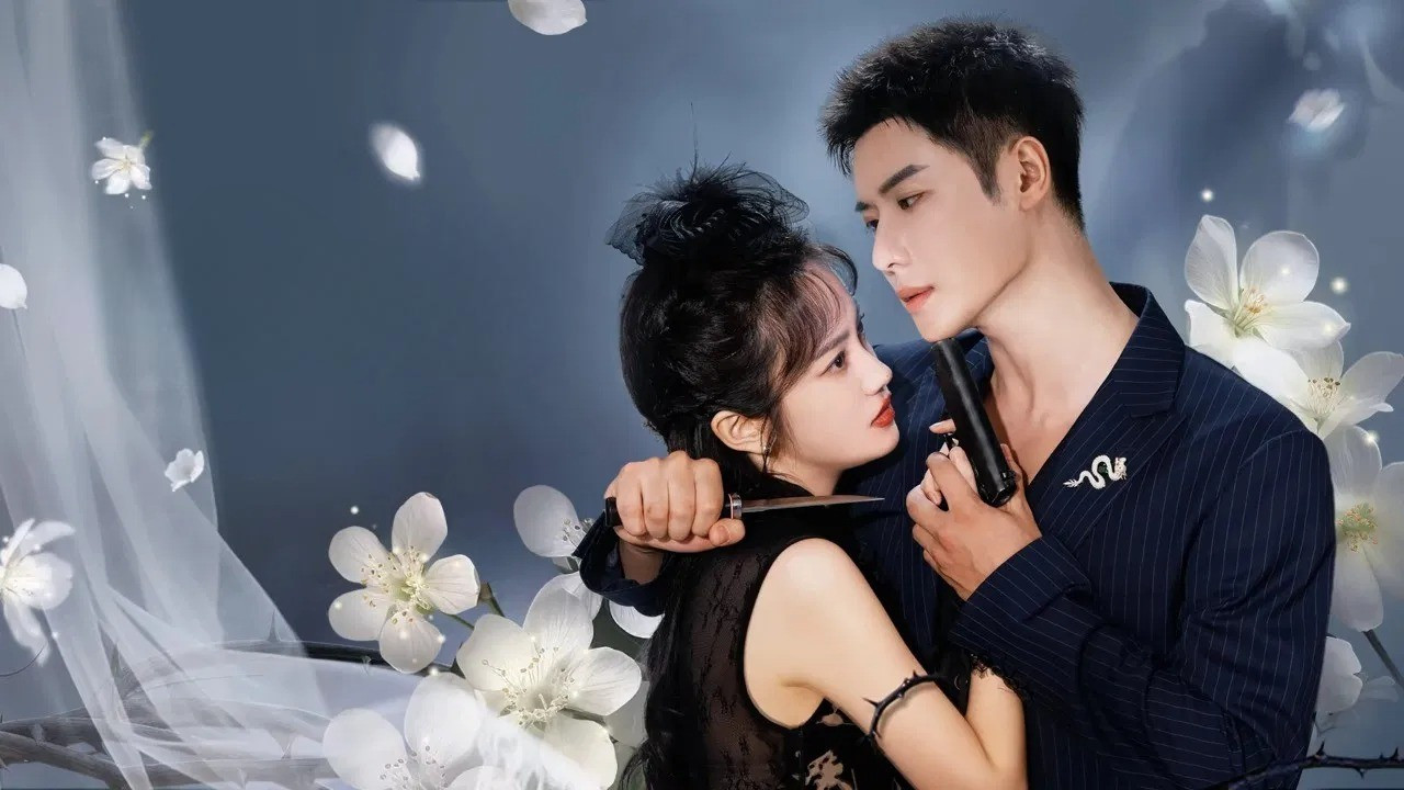Xem phim Nhất Thụ Lê Hoa, Nhất Khinh Châu Vietsub HD