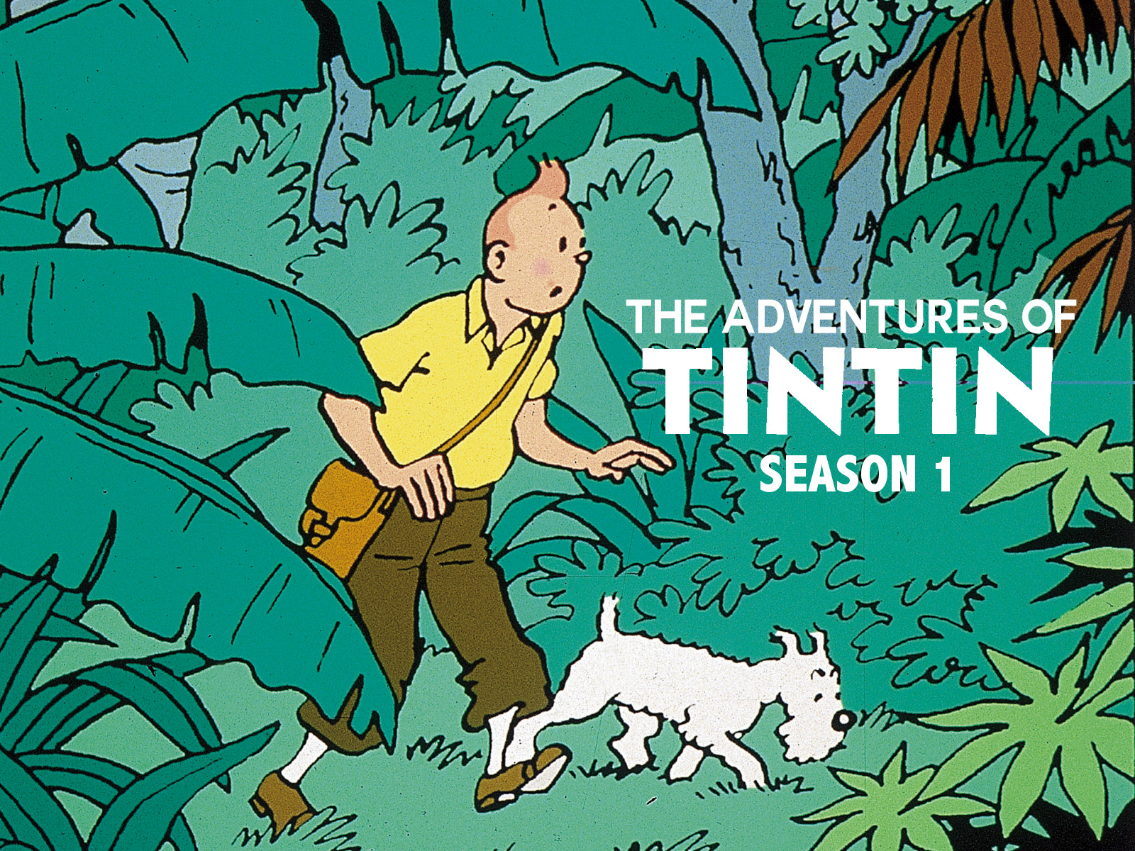 Xem phim Những Cuộc Phiêu Lưu Của Tintin: Phần 1 Vietsub HD