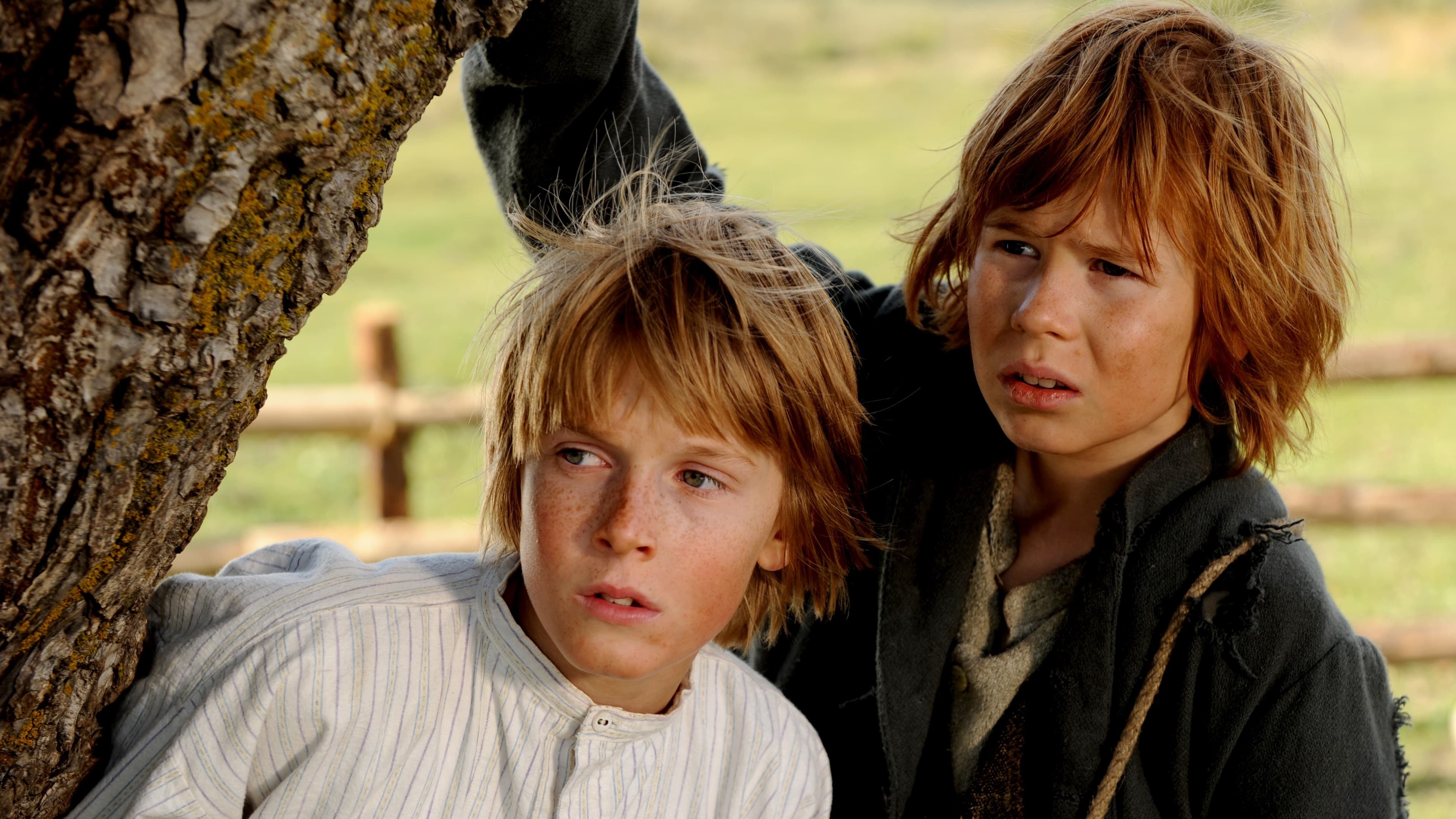 Xem phim Những Cuộc Phiêu Lưu Của Tom Sawyer Vietsub HD