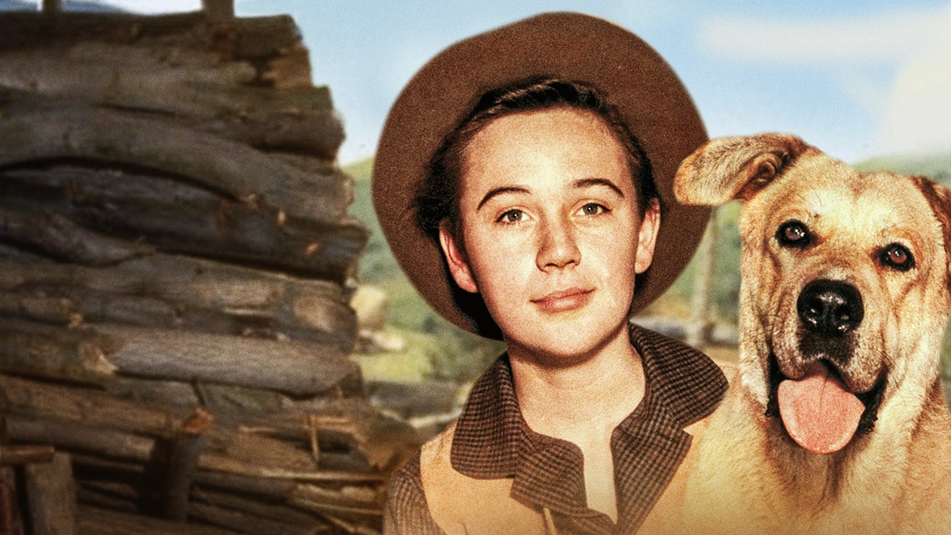 Xem phim Old Yeller Vietsub HD