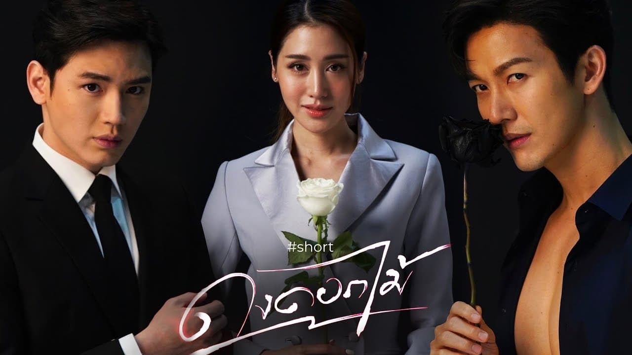 Xem phim Rừng Hoa Rực Lửa Vietsub HD