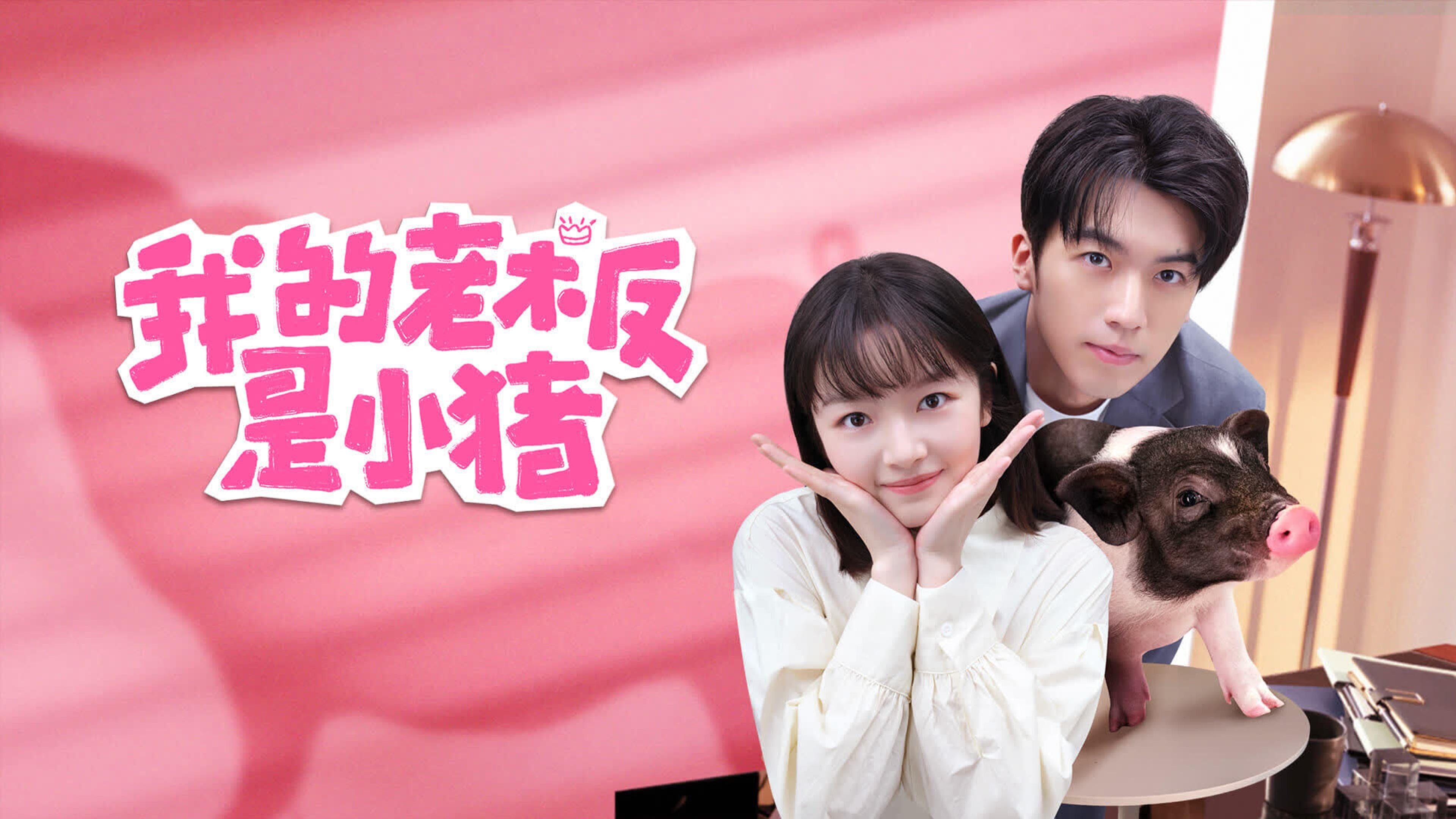 Xem phim Sếp Của Tôi Là Chú Lợn Nhỏ Vietsub HD