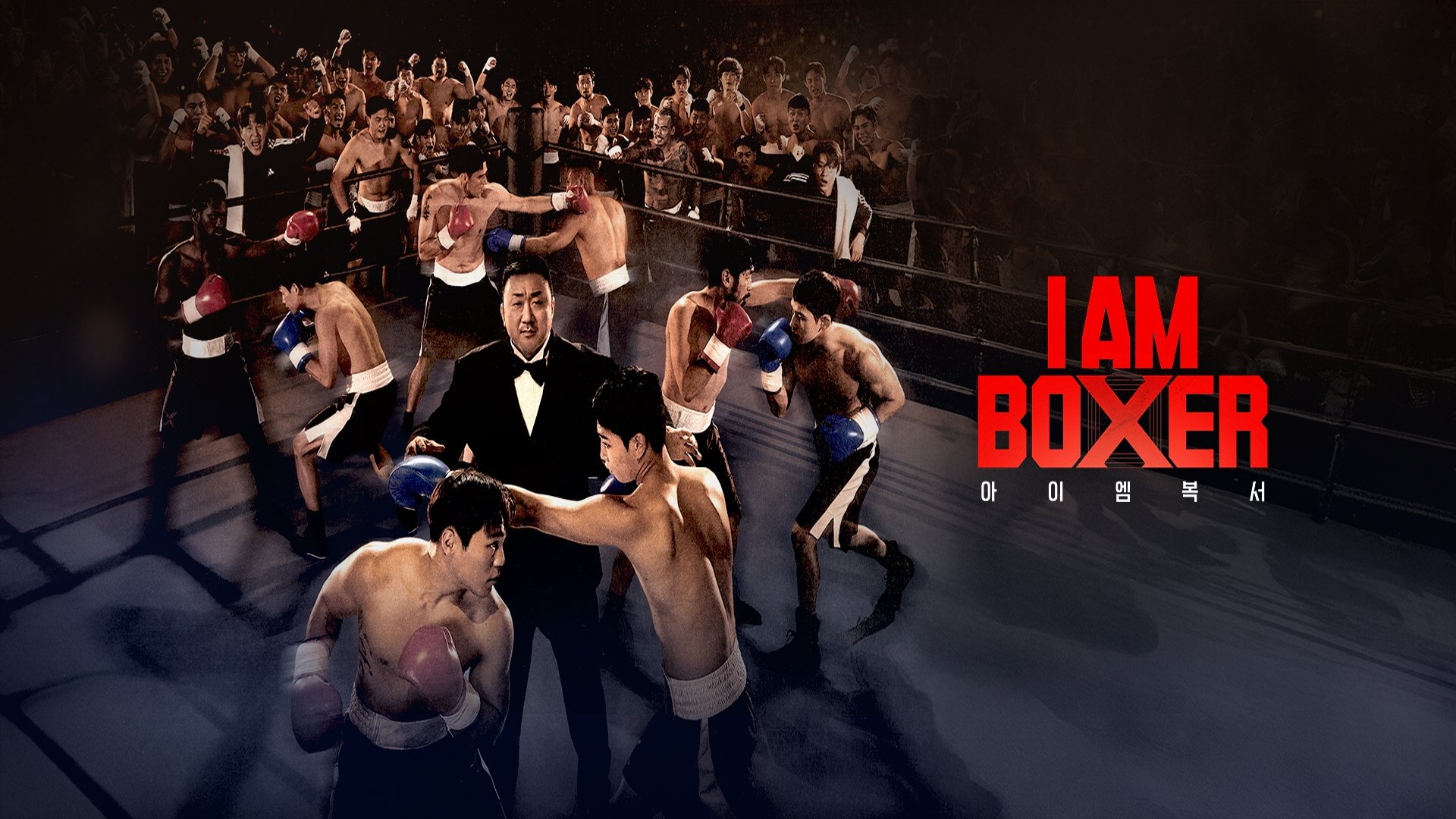 Xem phim Tay Đấm Bốc Vietsub HD