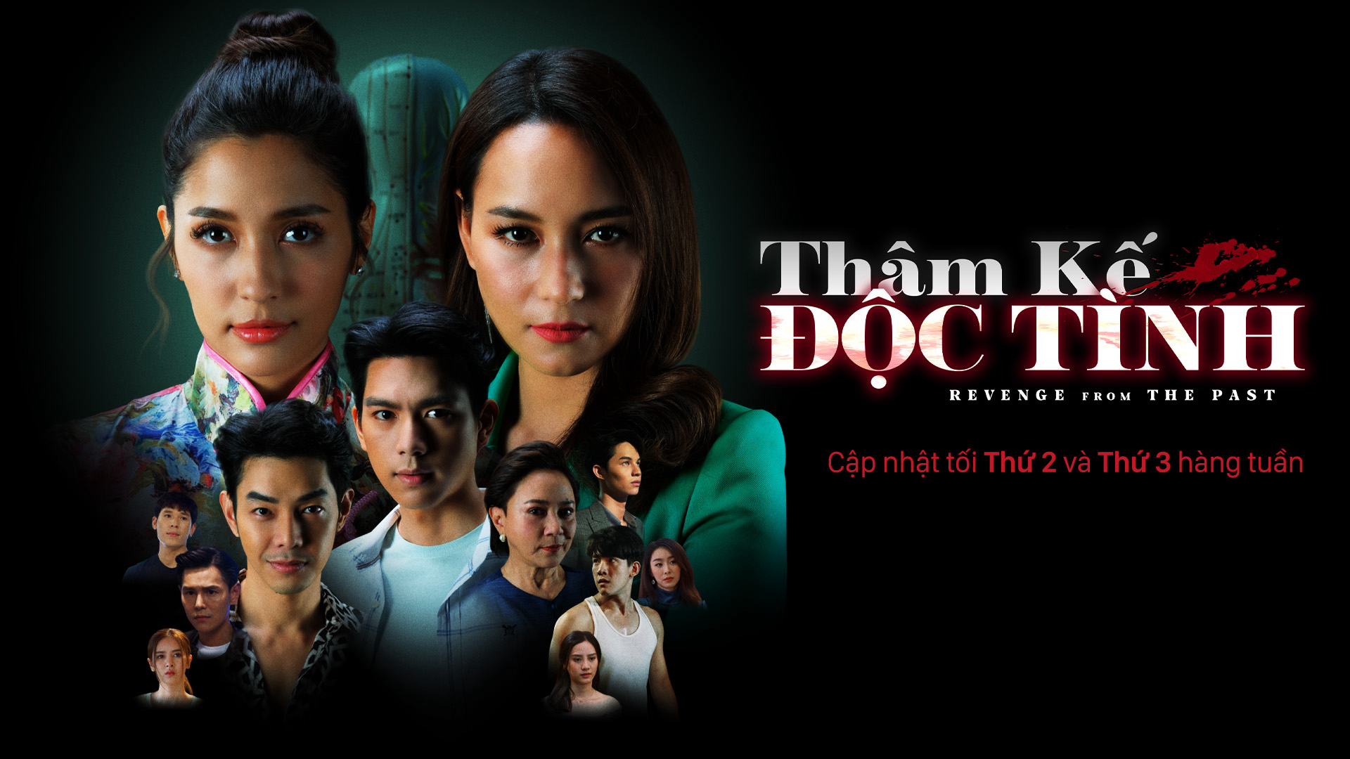 Xem phim Thâm Kế Độc Tình Vietsub HD