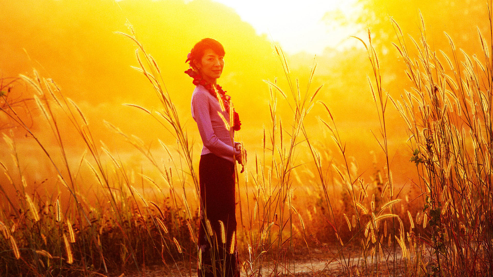 Xem phim The Lady Vietsub HD