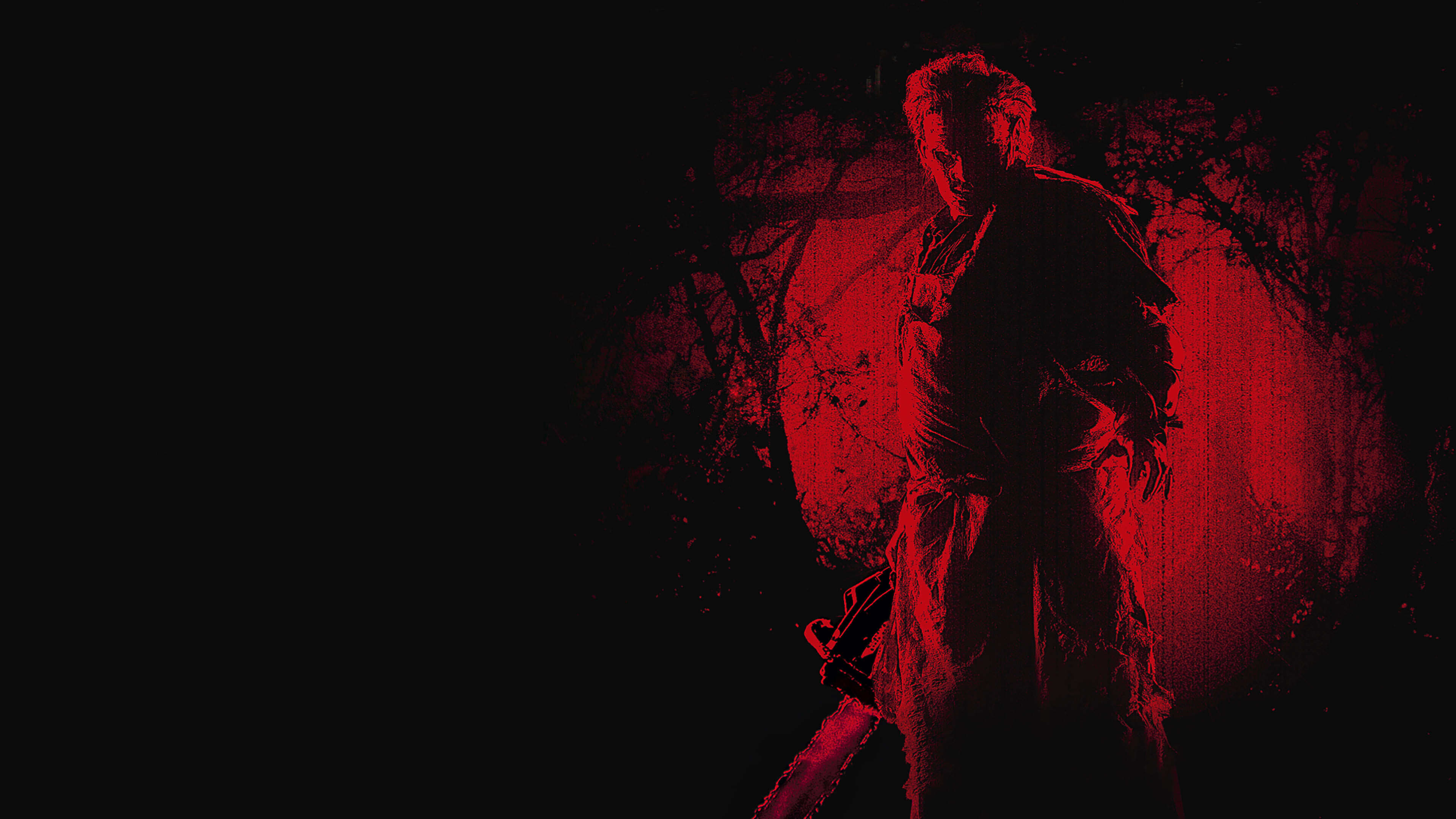 Xem phim The Texas Chainsaw Massacre Vietsub HD