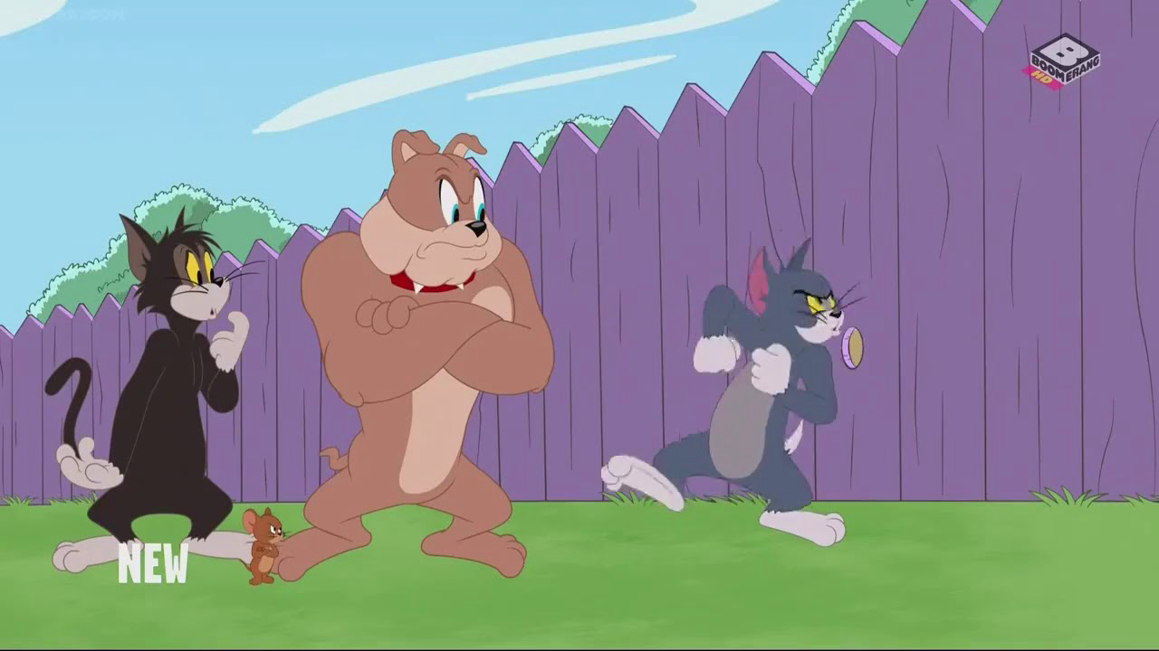 Xem phim The Tom and Jerry Show (Phần 3) Vietsub HD