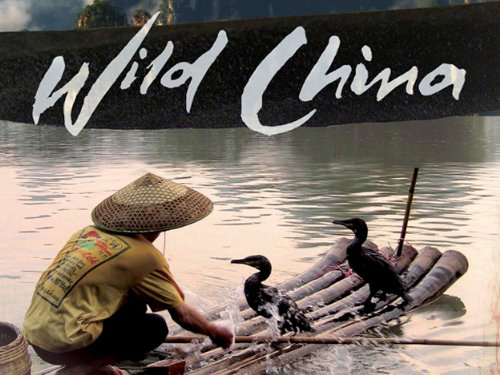 Xem phim Thiên Nhiên Hoang Dã Trung Quốc Vietsub HD