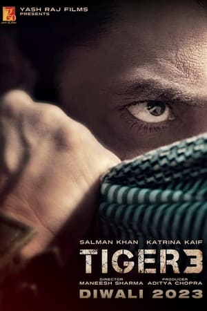 Xem phim Tiger 3 Vietsub HD
