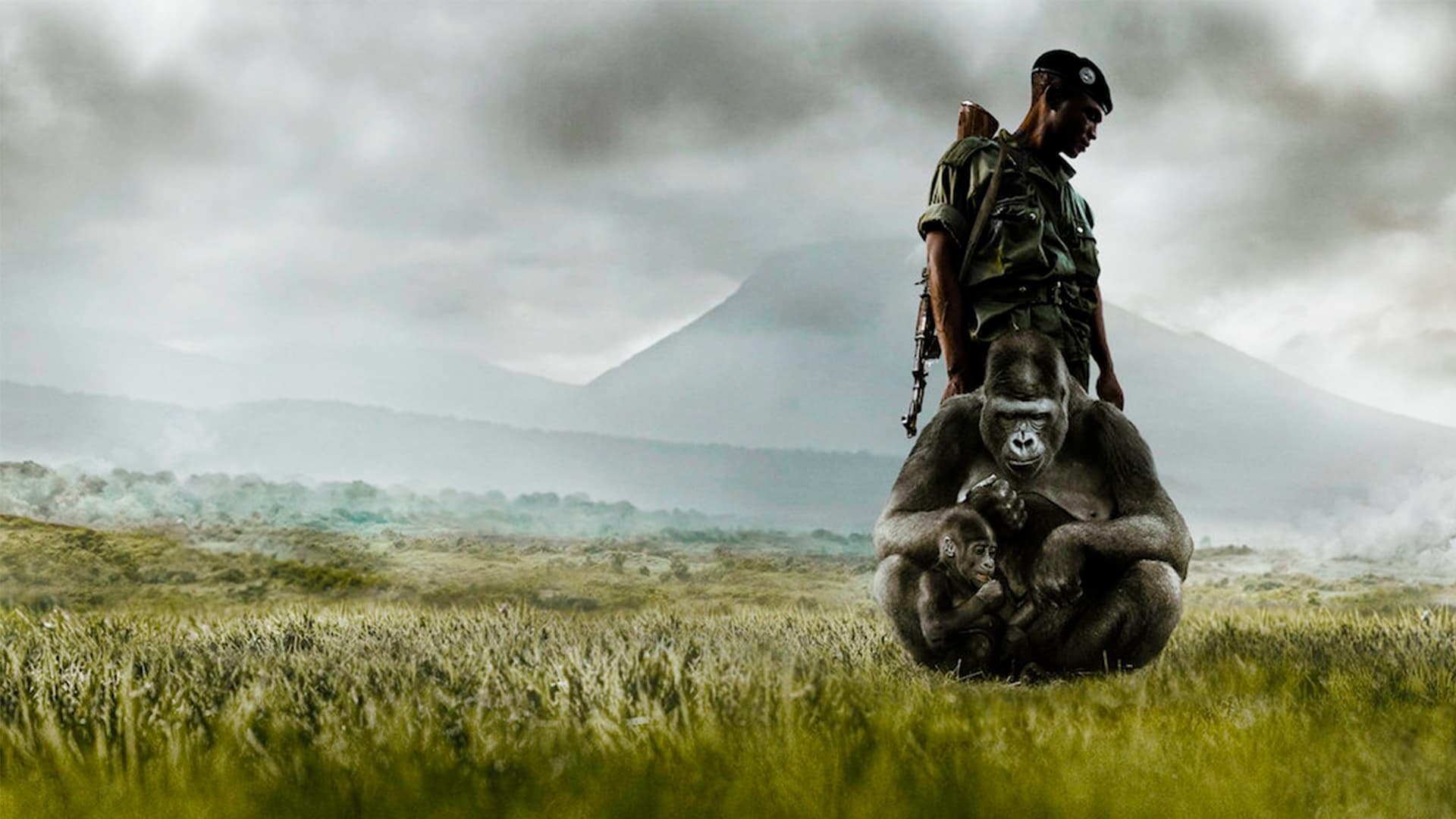 Xem phim Virunga Vietsub HD