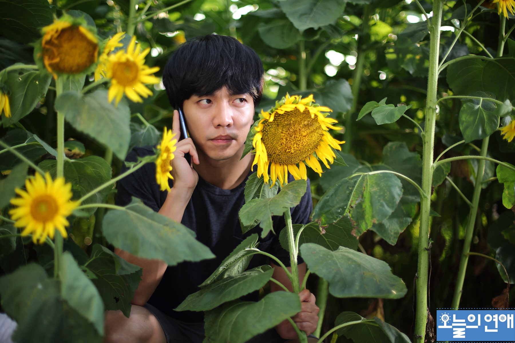Xem phim Yêu Phai Nàng Lam Chiêu Vietsub HD