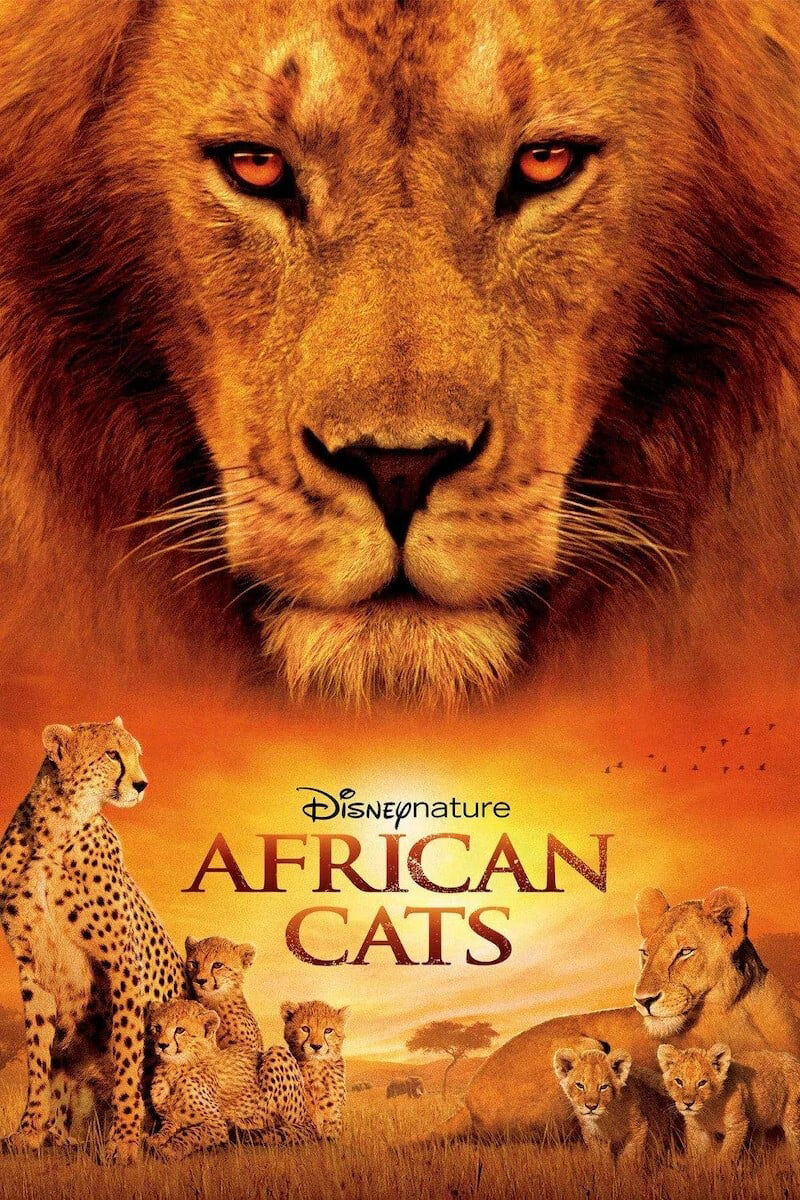 Hình ảnh phim African Cats