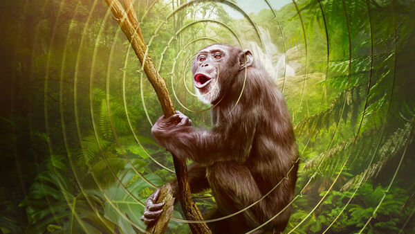 Poster phim Âm Thanh Của Trái Đất – Earthsounds