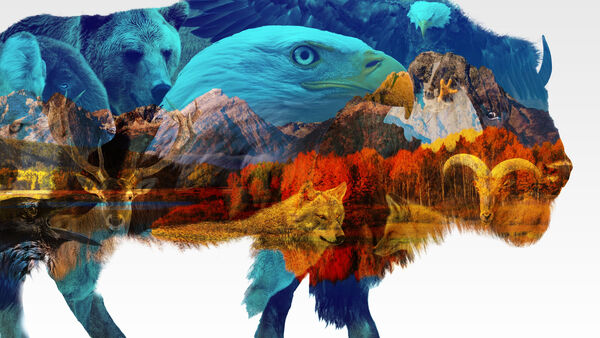 Poster phim America the Beautiful