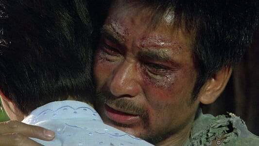 Poster phim Anh Hùng Vô Lệ