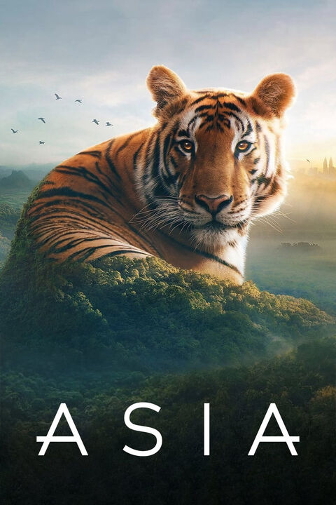 Hình ảnh tập 2 Asia