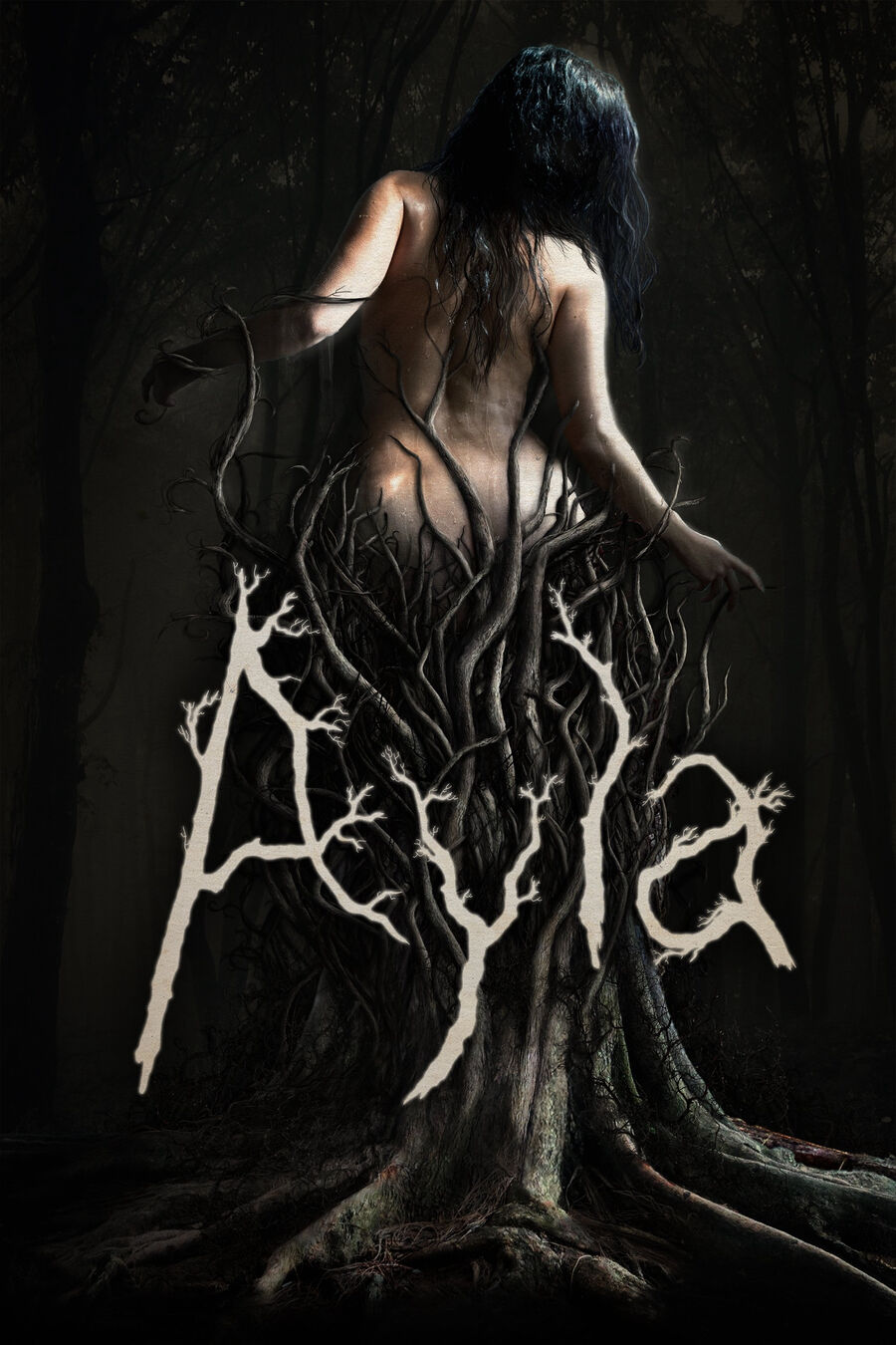 Hình ảnh phim Ayla