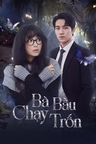 Hình ảnh phim Bà Bầu Chạy Trốn