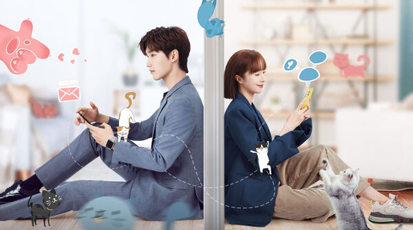 Poster phim Bất Cẩn Meow Phải Anh