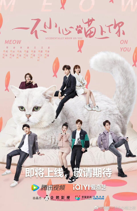 Hình ảnh tập 2 Bất Cẩn Meow Phải Anh